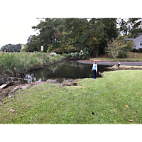 King tide Norfolk image